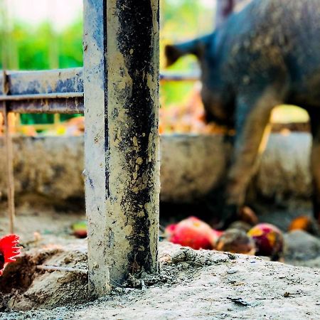 Relais Tenuta Gentili San Liberato Zewnętrze zdjęcie