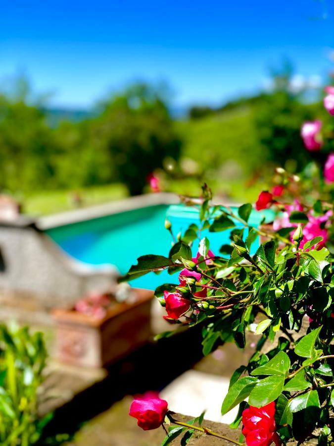 Relais Tenuta Gentili San Liberato Zewnętrze zdjęcie